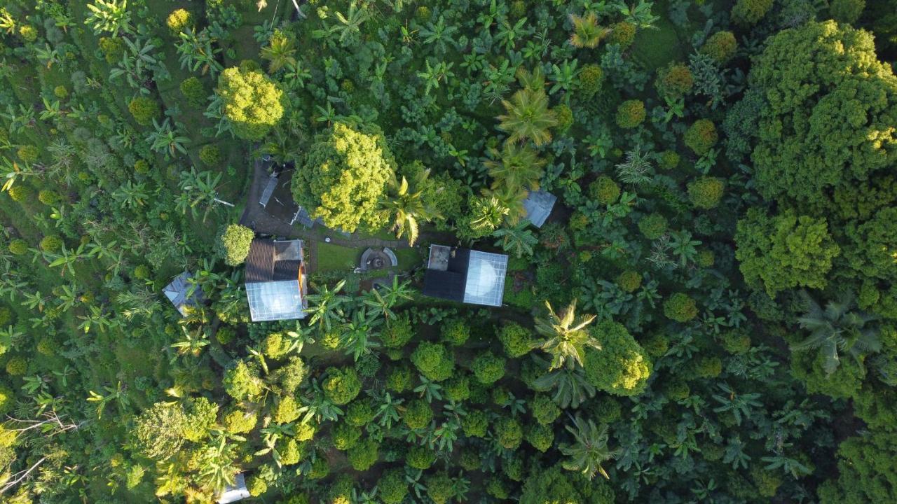 Moondock Luxury Camp Ξενοδοχείο Munduk Εξωτερικό φωτογραφία